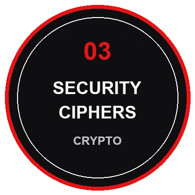Cryptographic Protocol Integrity